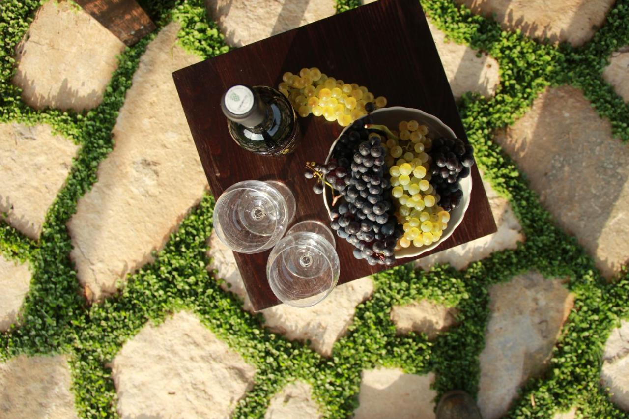 Vineyard Eco Near Dubrovnik Lodge Gruda