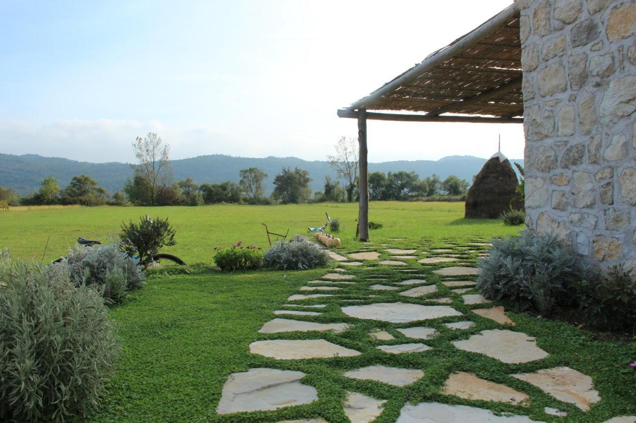 Vineyard Eco Near Dubrovnik Lodge